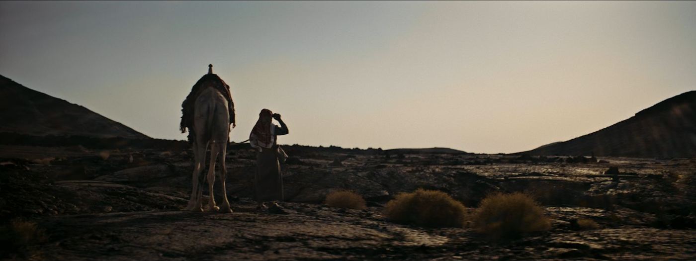 Still from Hadi Aleies